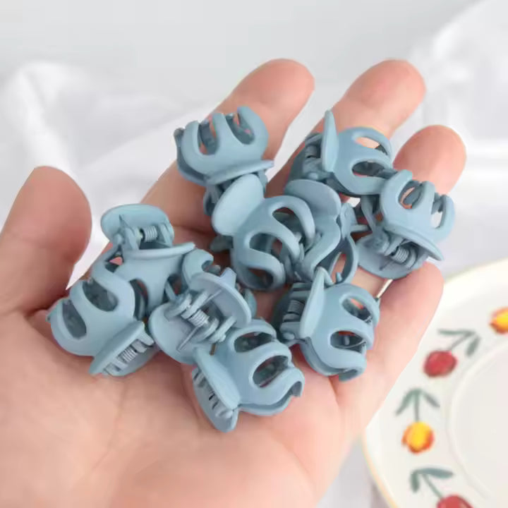 Petite Claw Clip Set