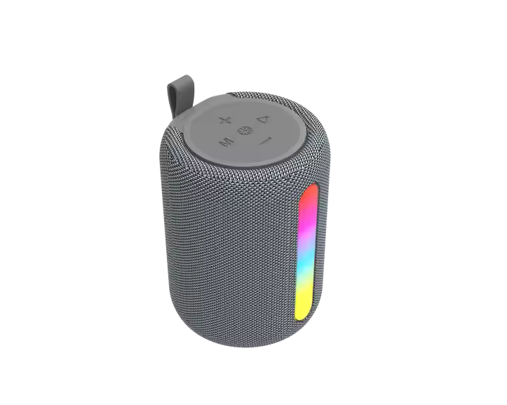 The Petite Party Speaker