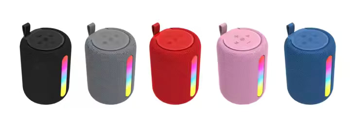 The Petite Party Speaker