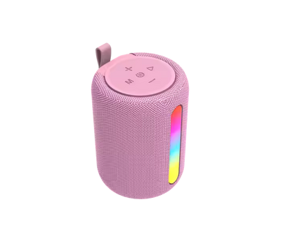 The Petite Party Speaker