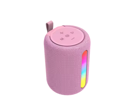The Petite Party Speaker