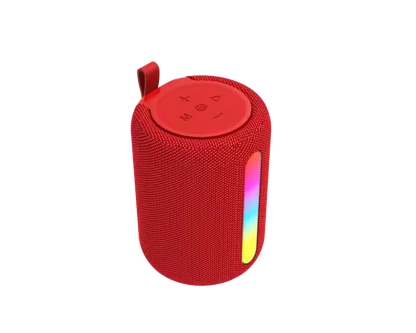 The Petite Party Speaker