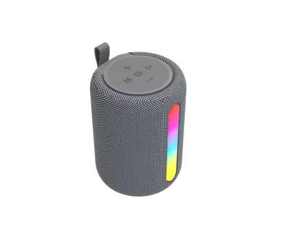 The Petite Party Speaker