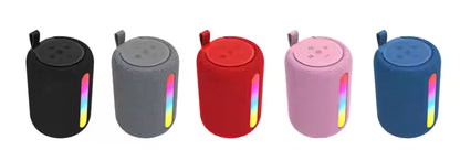 The Petite Party Speaker