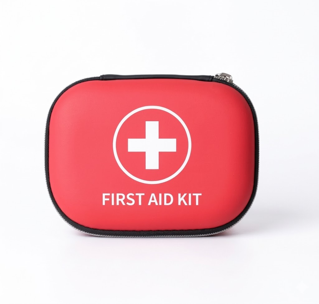 Mini Travel Emergency Kit